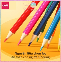 [HOTIS] Bộ 12/24/36/48 Bút chì màu gốc dầu dạng cốc DELI màu sắc tươi sáng, không dễ gãy, màu chì học sinh chuyên nghiệp