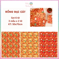 [HOTIS] Set 6 tờ Giấy gói quà Tết Rắn Ất Tỵ, giấy gói quà cao cấp, khổ lớn - KT 50x70cm