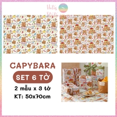 [HOTIS] Set 6 tờ Giấy gói quà tặng Sinh Nhật, giấy bao tập vở, giấy gói quà cao cấp, khổ lớn - KT 50x70cm