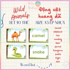 [HOTIS] Set 10 Flashcard A5 học từ vựng Tiếng Anh tiểu học theo chủ đề, thẻ học từ vựng cho bé