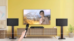 Dàn Karaoke LA 210 (Loa JBL RM210+ Vang số MK ES 350 Plus + Micro MK E-300 + Sub 12Al)