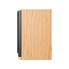 Loa Paramax HOMI 601 Smart