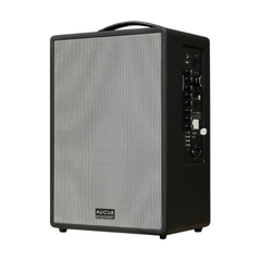 Loa Acnos AUCUS X300