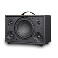 Loa Acnos CS3600 Pro