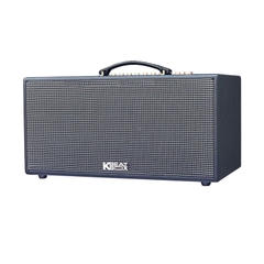 Dàn Âm Thanh Di Động Acnos CS447R