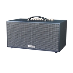 Dàn Âm Thanh Di Động Acnos CS447R