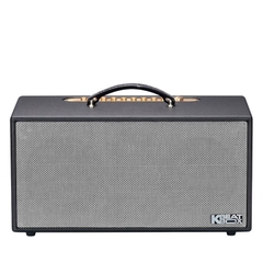 Loa Acnos CS450SRV Plus