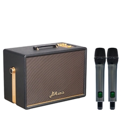 Loa Soncamedia D'Auris 300