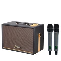 Loa Soncamedia D'Auris 300