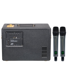 Loa Soncamedia D'Auris 300