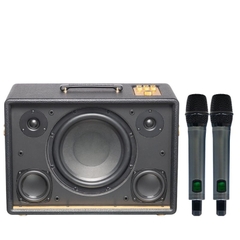 Loa Soncamedia D'Auris 300