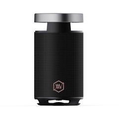 Loa Alpha Works STUDIO 110