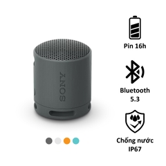 Loa Bluetooth di động Sony SRS-XB100, pin 16h, chống nước IP67