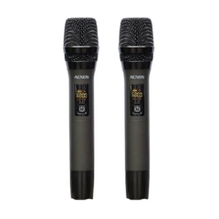 Loa karaoke di động Acnos Aucus AK800