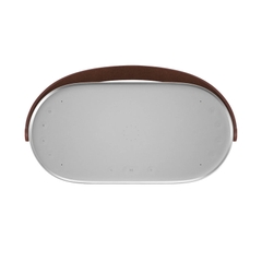 Loa Bang & Olufsen Beosound A5