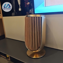 Loa B&O Beolab 8