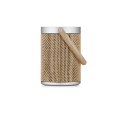 Loa Bang & Olufsen Beosound A5