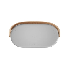 Loa Bang & Olufsen Beosound A5