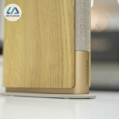 Loa Bang & Olufsen Beosound Emerge