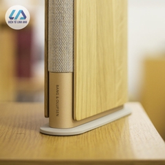 Loa Bang & Olufsen Beosound Emerge
