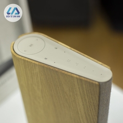 Loa Bang & Olufsen Beosound Emerge