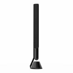 Loa Bang & Olufsen Beolab 28