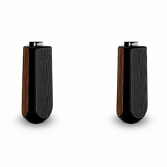 Loa Bang & Olufsen Beolab 50