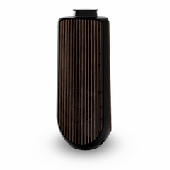 Loa Bang & Olufsen Beolab 50