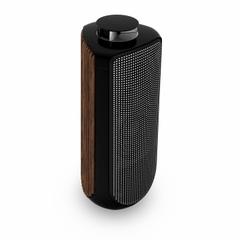Loa Bang & Olufsen Beolab 50