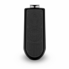 Loa Bang & Olufsen Beolab 50