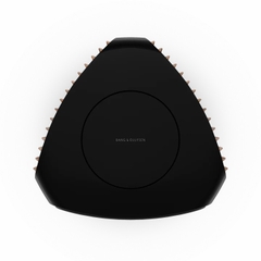 Loa Bang & Olufsen Beolab 50