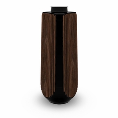 Loa Bang & Olufsen Beolab 50