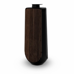 Loa Bang & Olufsen Beolab 50