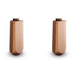 Loa Bang & Olufsen Beolab 50