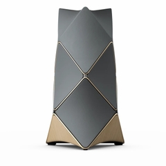 Loa Bang & Olufsen Beolab 90