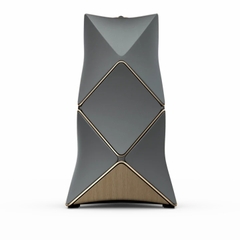 Loa Bang & Olufsen Beolab 90