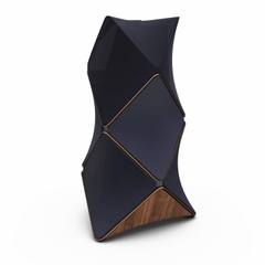 Loa Bang & Olufsen Beolab 90