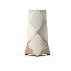 Loa Bang & Olufsen Beolab 90