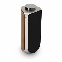 Loa Bang & Olufsen Beolab 50