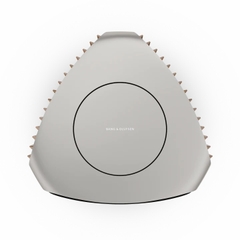 Loa Bang & Olufsen Beolab 50