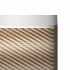 Loa Bang & Olufsen Beolit 20