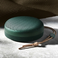 Loa Bang & Olufsen Beoplay A1