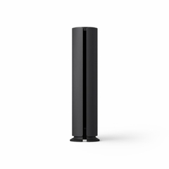Loa Bang & Olufsen Beosound Emerge