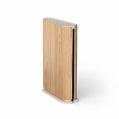 Loa Bang & Olufsen Beosound Emerge