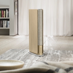 Loa Bang & Olufsen Beosound Emerge