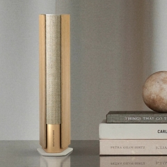 Loa Bang & Olufsen Beosound Emerge
