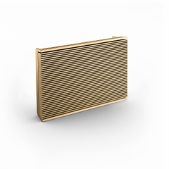 Loa Bang Olufsen Beosound Level