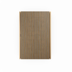 Loa Bang & Olufsen Beosound Level