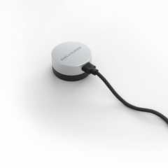 Loa Bang & Olufsen Beosound Level