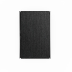 Loa Bang & Olufsen Beosound Level